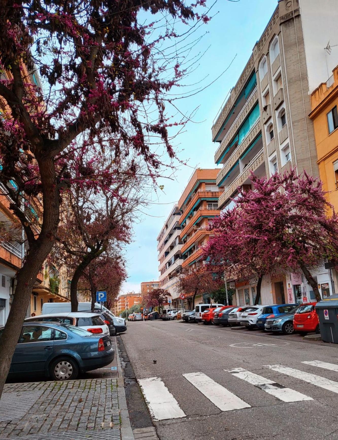 Vintage Apartment Κόρδοβα Εξωτερικό φωτογραφία