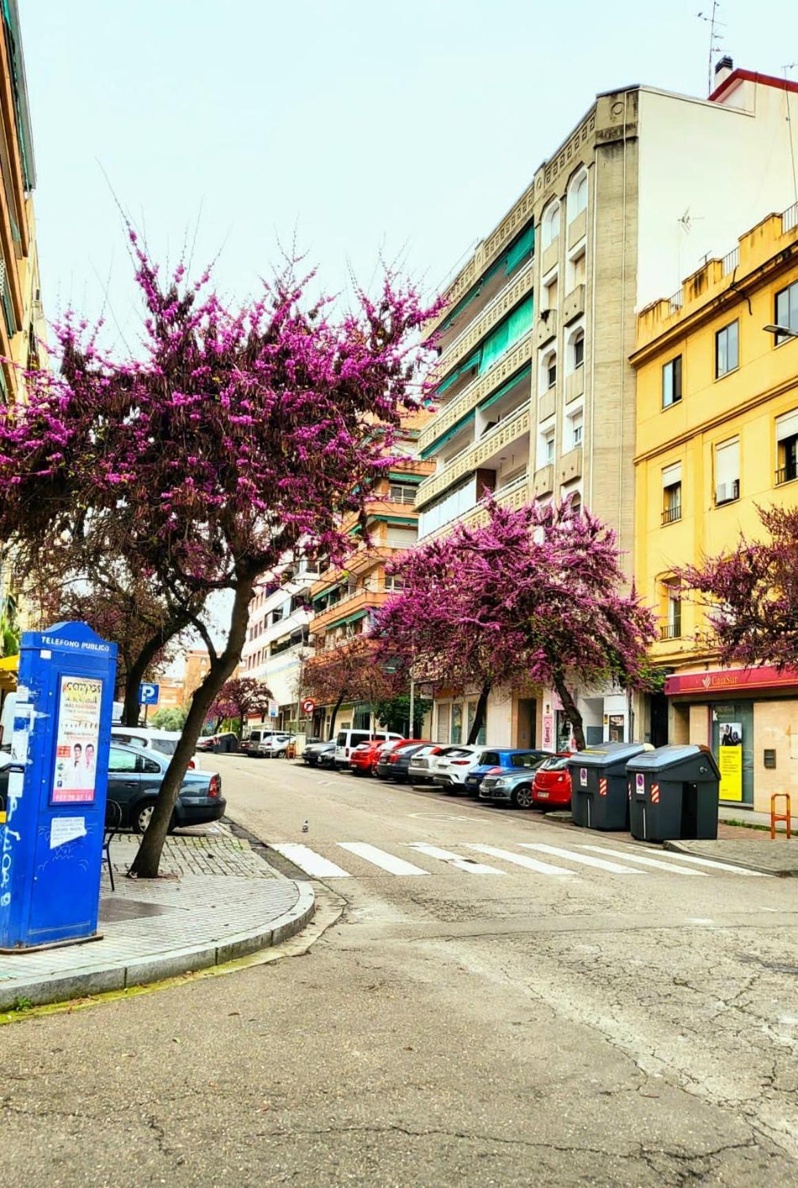 Vintage Apartment Κόρδοβα Εξωτερικό φωτογραφία